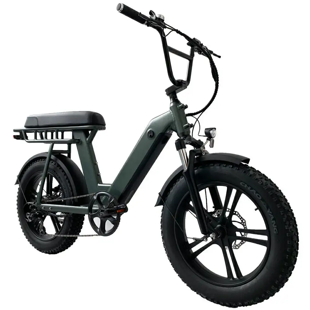 دراجة جبلية رخيصة السعر بإطار عريض بقدرة 48 فولت 750 وات 1000 وات تعليق كامل Mtb دراجة كهربائية دراجة كهربائية للبيع
