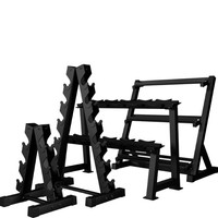 Support de Rangement Pliable en Acier à 2 Niveaux pour Haltères, Robuste et Sûr, Idéal pour Salle de Sport et Studio de Fitness - Offre Spéciale