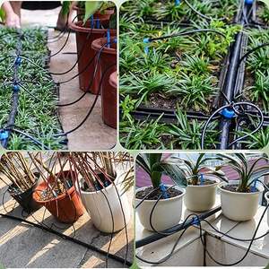 Sistema di irrigazione <span class=keywords><strong>a</strong></span> effetto serra che gocciola frecce - Product Image 2