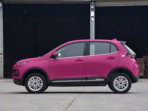 Brand New Dayun Yuehu <strong>EV</strong> Left Hand Drive Brand New 5 Seater Mini SUV Ternary Lithium Battery - Product Image 1
