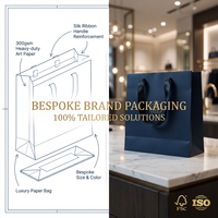 Sac en papier mat de luxe sur mesure FSC avec estampage à chaud or, sac cadeau durable pour l'emballage de vêtements de haute couture en boutique