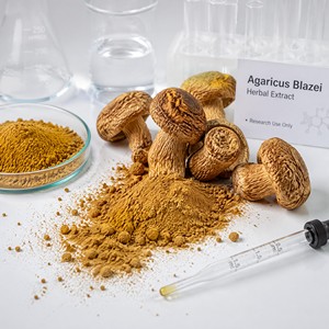 Poudre d'Agaricus Blazei Naturelle, Ratio 10:1, Prix de Gros, Poudre de Champignon Agaricus Pure, Soutien Immunitaire - Product Image 3
