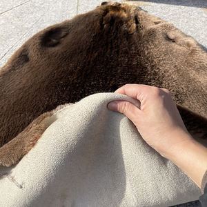 कच्चे बीवर त्वचा/प्राकृतिक वास्तविक बीवर पेल्ट - Product Image 4