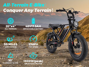 Vélo électrique 48V-17. 5/25 AH avec logo personnalisé VTT électrique pour hommes Stock en entrepôt meilleur prix - Product Image 3