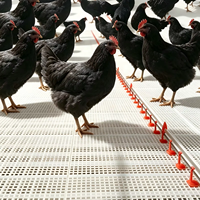 Plancher en plastique blanc pour poulaillers, enclos à canards et à oies, adapté aux fermes d'élevage, haute capacité de charge