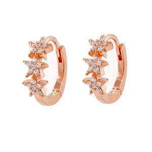 Aros Pequeños Estilo Huggie con Estrella de Gemnel, Joyería de Latón, Fabricación de Joyería con Circonita, Joyería de Latón Chapada en Oro, Aretes de <span class=keywords><strong>Aro</strong></span> con Estrella - Product Image 5