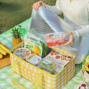 Panier de livraison de nourriture réutilisable Sac de pique-nique isotherme pour pique-nique chaud ou froid Plage - Product Image 4