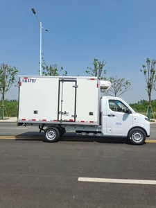 Camioneta <span class=keywords><strong>Refrigerada</strong></span> Eléctrica Geely F1E, Mini Camión de Carga Ligera para Transporte de Alimentos y Medicamentos en Cadena de Frío, Disponible con Volante a la Izquierda y Derecha - Product Image 4