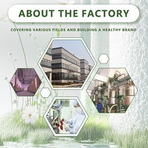 سعر المصنع مسحوق خلاصة الكوسة خلاصة فاكهة الكوسة - Product Image 2