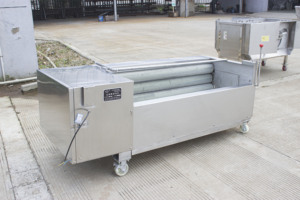 Pelador de patatas Industrial, máquina de pelado y lavado de patatas - Product Image 4