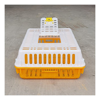 Cage de transport pour volailles, boîte de retournement pour poussins, caisse de transport en plastique pour canards et pigeons, équipement agricole