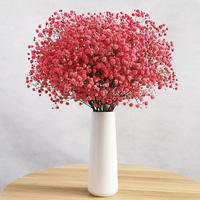 Couronne de fleurs décoratives souffle de bébé blanc vraies fleurs pressées séchées naturelles pour l'artisanat d'art bricolage