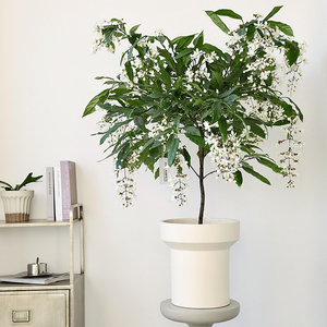 Venta al por mayor, sala de estar, jardín, balcón, planta decorativa, jardineras de cemento mate, maceta de hormigón suculenta - Product Image 5