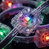 Lumières LED extérieures permanentes étanches IP67 24V, lumières LED de Noël RGB RGBIC, lumière ponctuelle LED, lumière pixel LED