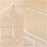 Boîte d'emballage rectangulaire en PET transparent pour fruits, conteneur jetable pour salades, plateau intérieur transparent de qualité alimentaire pour baies et fraises