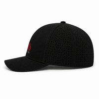 Casquette de baseball unisexe en coton 100% avec broderie 2D motif léopard, visière incurvée, réglable, pour usage quotidien et décontracté en extérieur