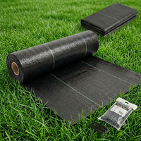 Toile de paillage tissée en PP noire pour jardin, tissu paysager, couverture de sol, paillis agricole, barrière anti-mauvaises herbes extérieure, rouleau de tissu durable