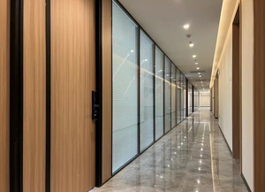 Trung Quốc manufacturerdouble nhôm Modular văn phòng kính tấm Tường di chuyển phân vùng với louver - Product Image 2