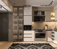 Prima Modern Kitchen with Countertop for Home Apartment Use Kitchen Cabinets Ready to Assemble Small Kitchen Modular