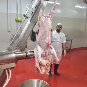 Sheep Slaughter Line For HALAL Goat Abattoir