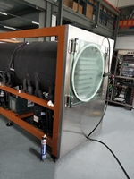 Lyophilisateur SJ-60H pour usage domestique Petites et moyennes entreprises Lyophilisateur sous vide Lyophilisateur à prix compétitif