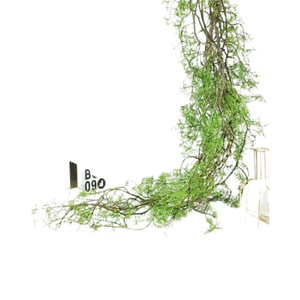 Vignes artificielles vertes, fleurs en plastique pour la décoration de la maison et du bureau, plantes suspendues au mur et au plafond, matériau EVA, couleur verte - Product Image 5