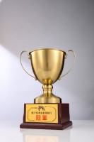 Trofeo de Metal y Madera Personalizado, Premio de PVC para Campeones Deportivos, Medalla de Oro, Copa de Campeones de Fútbol, Placa Conmemorativa