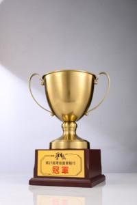 Trofeo <span class=keywords><strong>de</strong></span> Metal y Madera Personalizado, Premio <span class=keywords><strong>de</strong></span> PVC para Campeones Deportivos, Medalla <span class=keywords><strong>de</strong></span> Oro, <span class=keywords><strong>Copa</strong></span> <span class=keywords><strong>de</strong></span> Campeones <span class=keywords><strong>de</strong></span> Fútbol, Placa Conmemorativa - Product Image 2