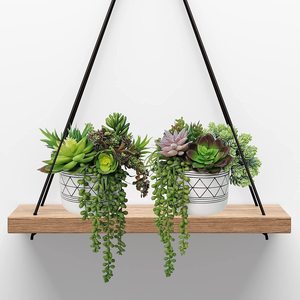 Una variedad de plantas suculentas artificiales no están equipadas con una pequeña decoración verde colgante de aloe suculento para interiores y exteriores del hogar - Product Image 4