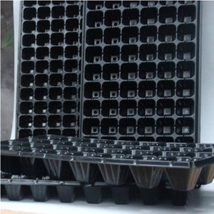Plateau de semis pour <span class=keywords><strong>graines</strong></span> <span class=keywords><strong>succulentes</strong></span>, boîte d'alimentation pour fruits et légumes, bassin épais, démarrage pro, 2 pièces - Product Image 3