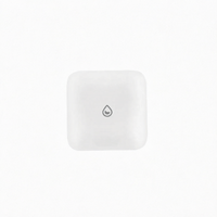 Détecteur de fuite d'eau intelligent EWelink ZigBee à piles, alarme, design en barre, pour maison, garage, hôtel, utilisation extérieure, contrôle par application