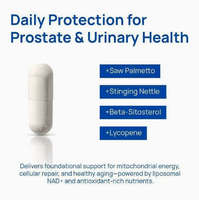 Dropshipping DDP Expédition Rapide Capsules Booster NAD+ CoQ10 Niacinamide Suppléments Énergétiques Cellulaires pour Hommes Fournisseurs