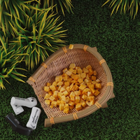 100% Pure Natuurlijke Gefreeze-droogde Mango Blokjes Fabrieksgroothandel Zoete Heerlijke Snacks FD Mango