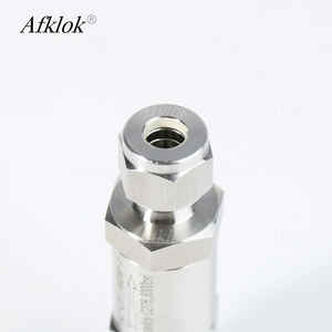 Válvula de Retención de Acero Inoxidable 316L <span class=keywords><strong>para</strong></span> Uso General, Resistente a la Corrosión Química, <span class=keywords><strong>para</strong></span> Equipos de Seguridad y Estructuras - Product Image 4