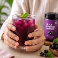 Zuivere Zwarte Bessensap Poeder FVP-28 Rijk aan Vitamine C voor Instant Dranken