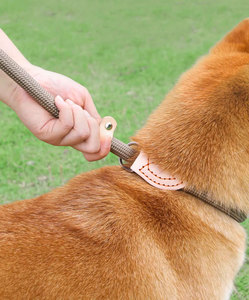 Nylon Dog Leash With Metal <b>Ring</b> And Leather Detail Simple Style Hands Free For Dogs - Product Image 6