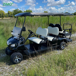 Carrito de <span class=keywords><strong>Golf</strong></span> Eléctrico Todoterreno para Discapacitados, Venta al Por Mayor 2026 - Product Image 6