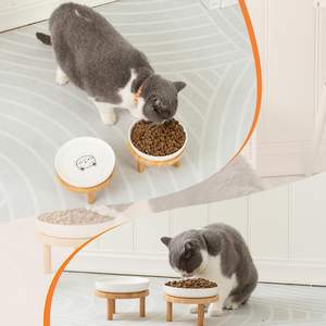 Bols surélevés en céramique peu profonds en bois personnalisés <span class=keywords><strong>station</strong></span> d'alimentation pour chien en bambou pour chats d'intérieur - Product Image 6