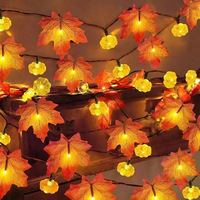 Nouvelles guirlandes lumineuses LED en forme de citrouille, boîte à piles, télécommande, indice de protection IP44, intérieur/extérieur, Halloween, Thanksgiving