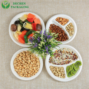 Disposable 9" Plate Bio-Based Made from Sugarcane Bagasse