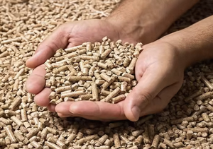 <span class=keywords><strong>Pellets</strong></span> <span class=keywords><strong>de</strong></span> Biomasa <span class=keywords><strong>de</strong></span> <span class=keywords><strong>Madera</strong></span> <span class=keywords><strong>de</strong></span> Primera Calidad con Alto Valor Calorífico - Product Image 2