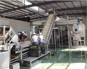 Ligne de production de confiture de fraises Machine de réduction en pâte de fraises - Product Image 6