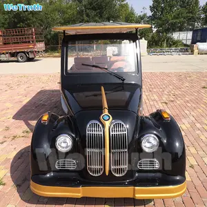 WeTruthマニュアルトランスミッションゴルフカート電気モータープラスチックゴルフ車体