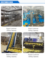 Machine de transformation industrielle automatique de chips croustillantes Sensitar 300 kg/heure, en acier inoxydable SUS304, chauffage vapeur/gaz/électrique