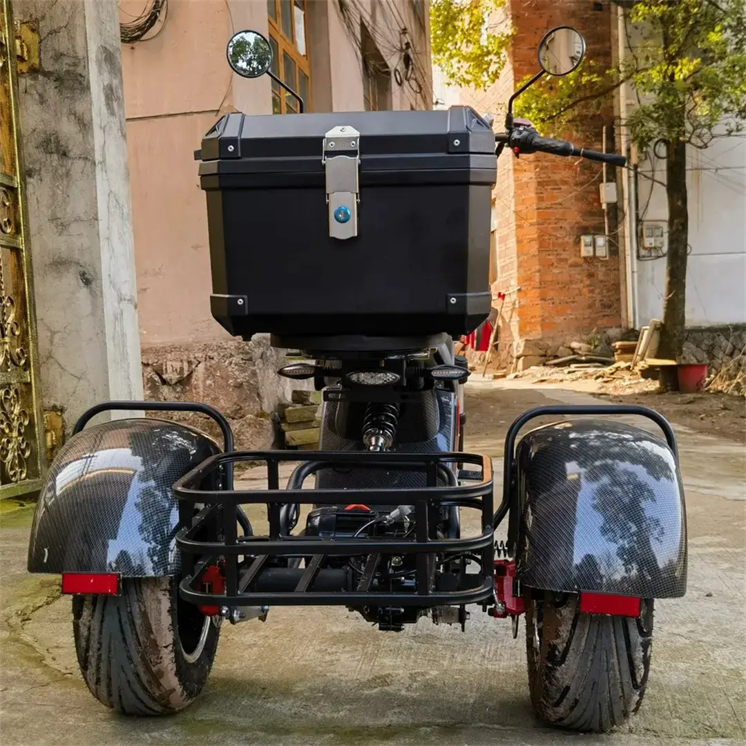 Leon tre ruote adulti triciclo 1500w/2000w grasso pneumatico Citycoco scooter elettrici Custom batteria al litio LCD 60V 12 pollici carico