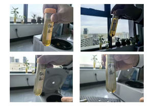 Concentrateur centrifuge sous vide HengNuo ZLNS-1 pour laboratoire médical, 300-2000 tr/min, faible vitesse, 66*1,5 ml, pour utilisation avec ADN/ARN - Product Image 6