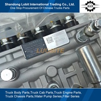 Phụ tùng máy bơm phun nhiên liệu VG1560080023 cho xe ben Sinotruk HOWO 371 động cơ WD615