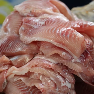 Frozen Red <strong>Grouper</strong> <strong>Whole</strong> Fish Wild Ocean Catch Bulk <strong>Grouper</strong> <strong>Round</strong> Fish Sea Product Export Seafood Frozen Supply - Product Image 6