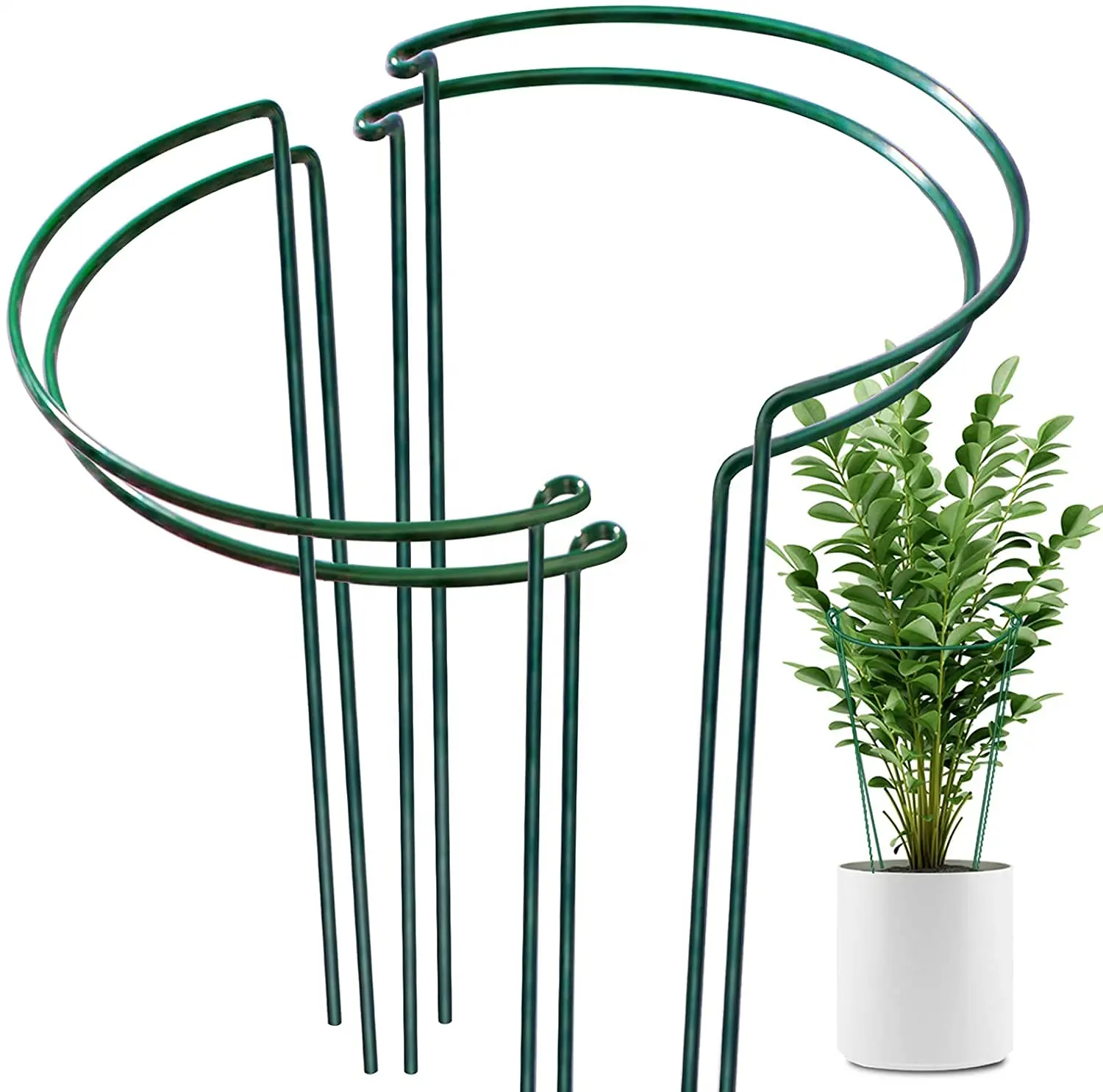 Piquets pour plantes de bordure de jardin Anneau de support pour plantes Cage de jardin Demi-rond en métal Support pour plantes