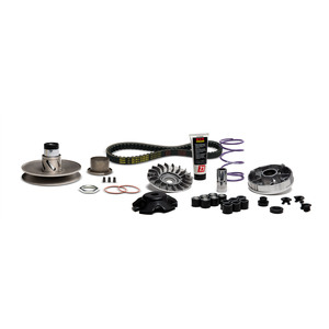 Unidad de transmisión completa Piaggio OVER RANGE (cárter largo) - Product Image 1